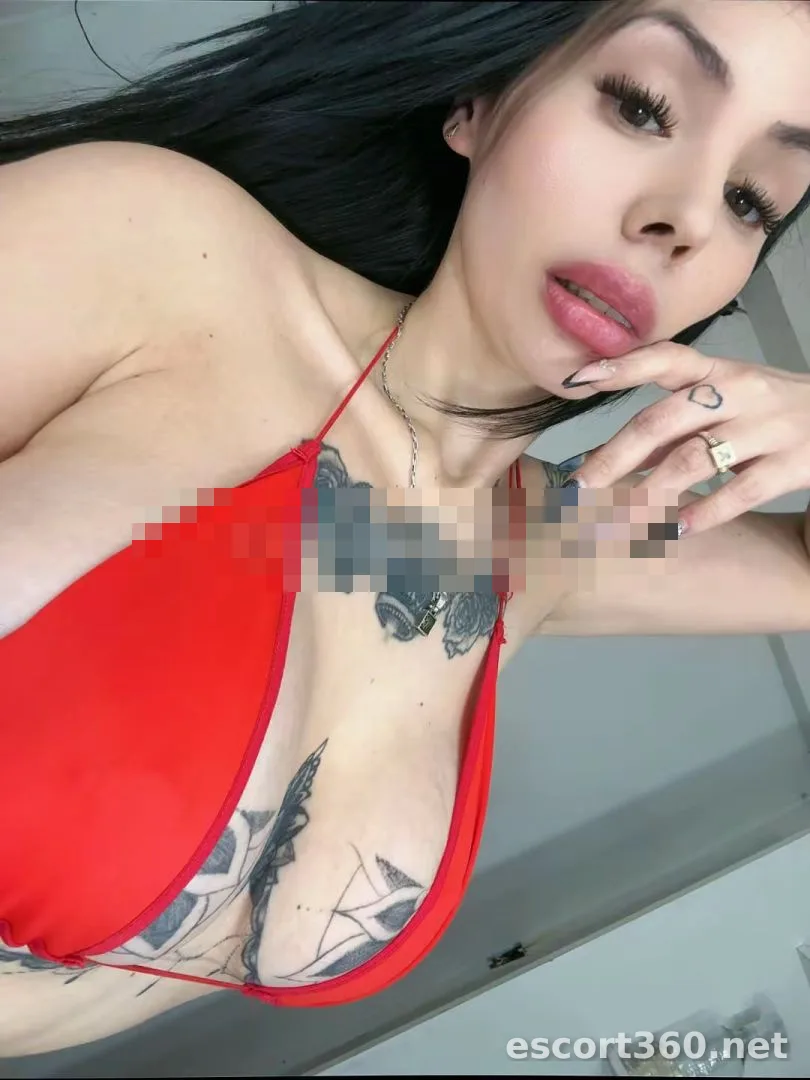 1 de 1