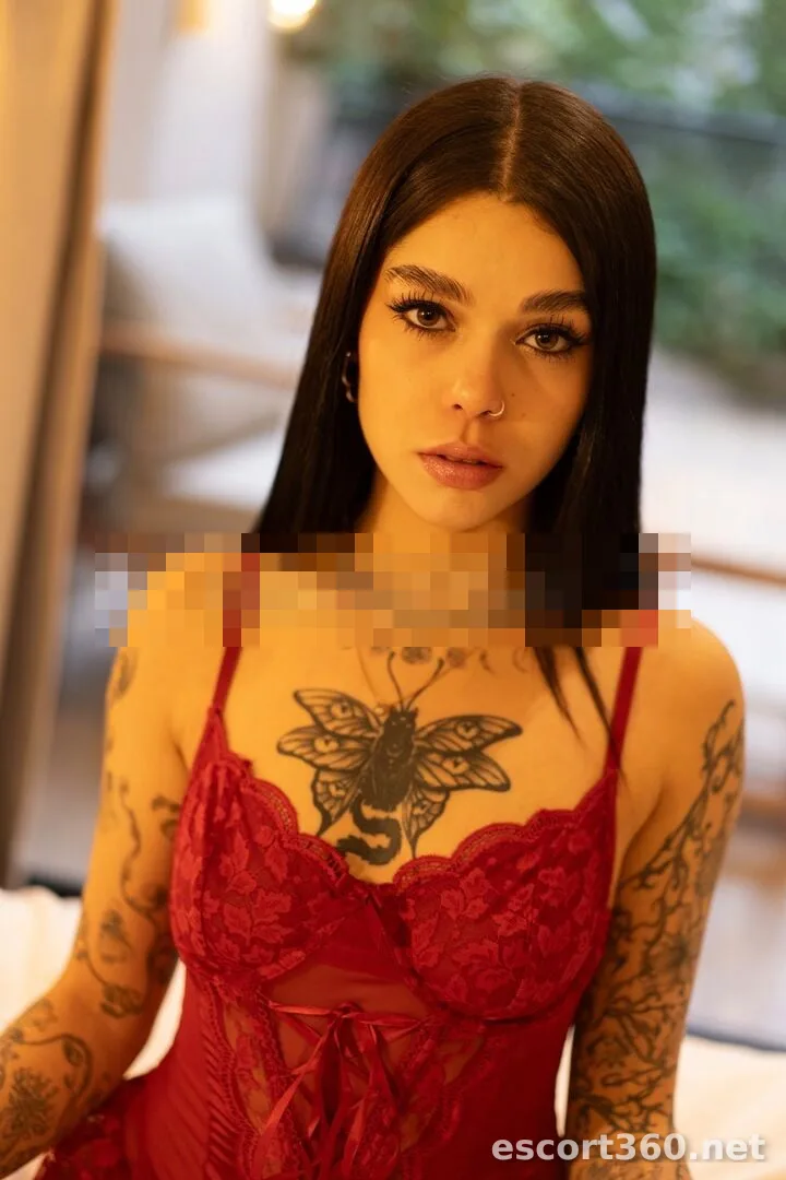 1 de 1
