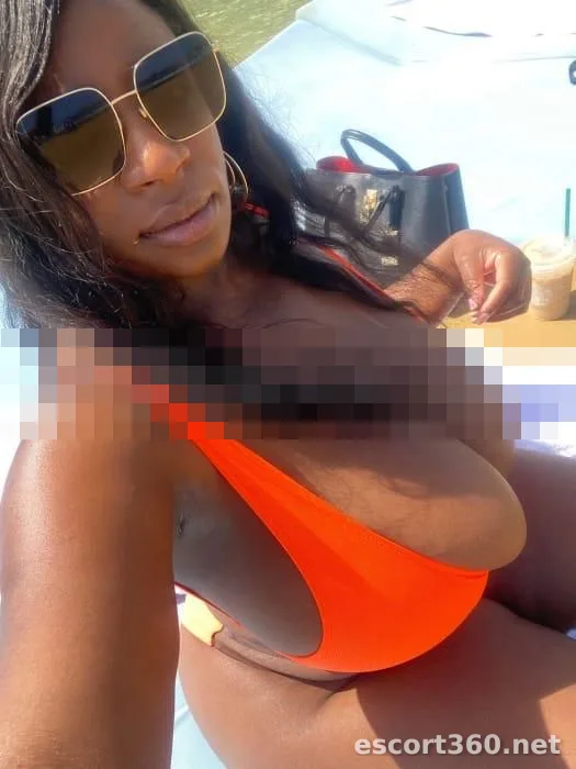 1 de 1