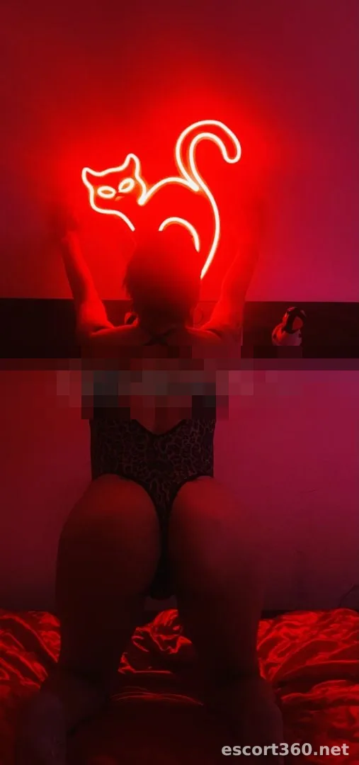 1 de 1