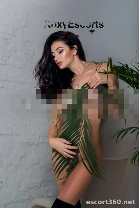 1 of 1