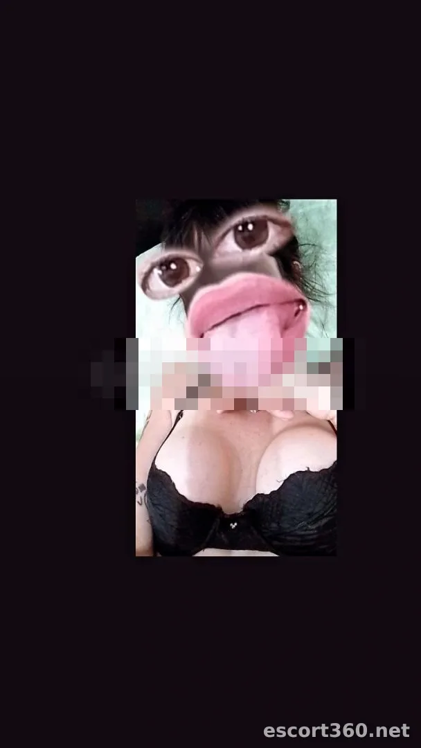 1 de 1