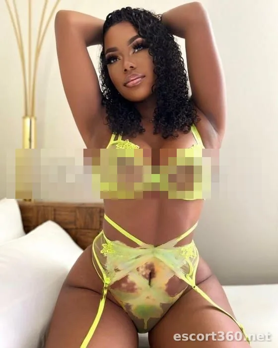 1 de 1