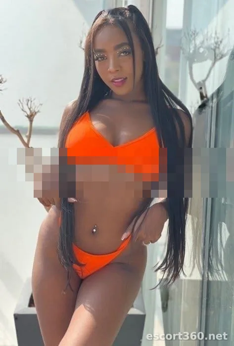1 de 1