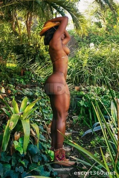 1 de 1