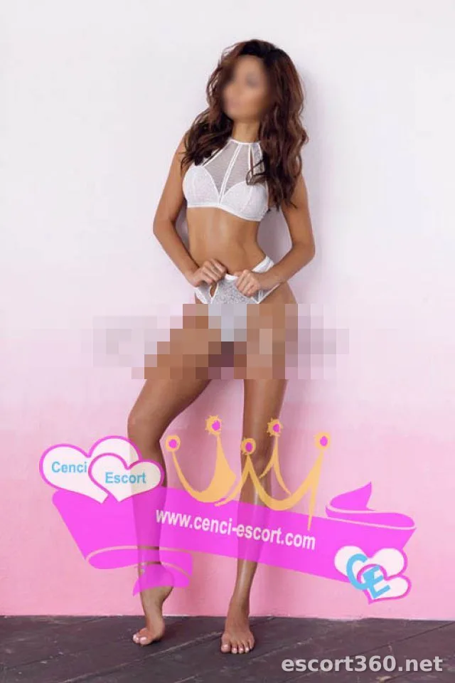 1 van 1