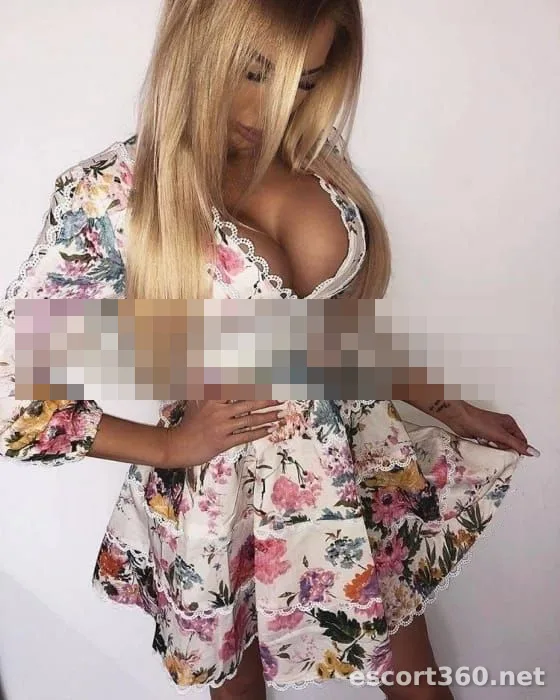 1 van 1